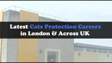 Cats Protection Careers