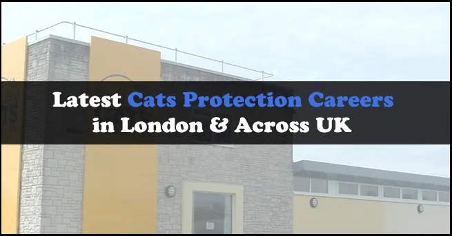 Cats Protection Careers