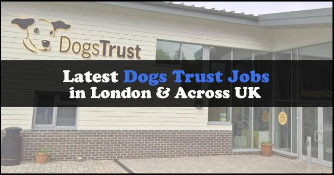 Dogs Trust Jobs