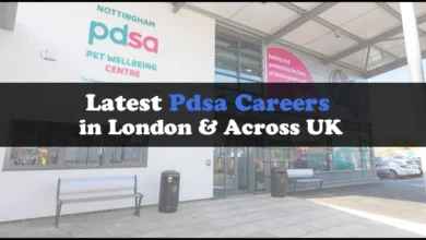 Pdsa Careers