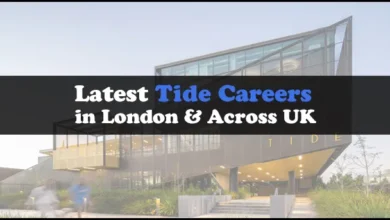 Tide Career